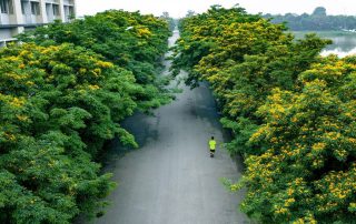 Thiên nhiên trong lòng Ecopark.